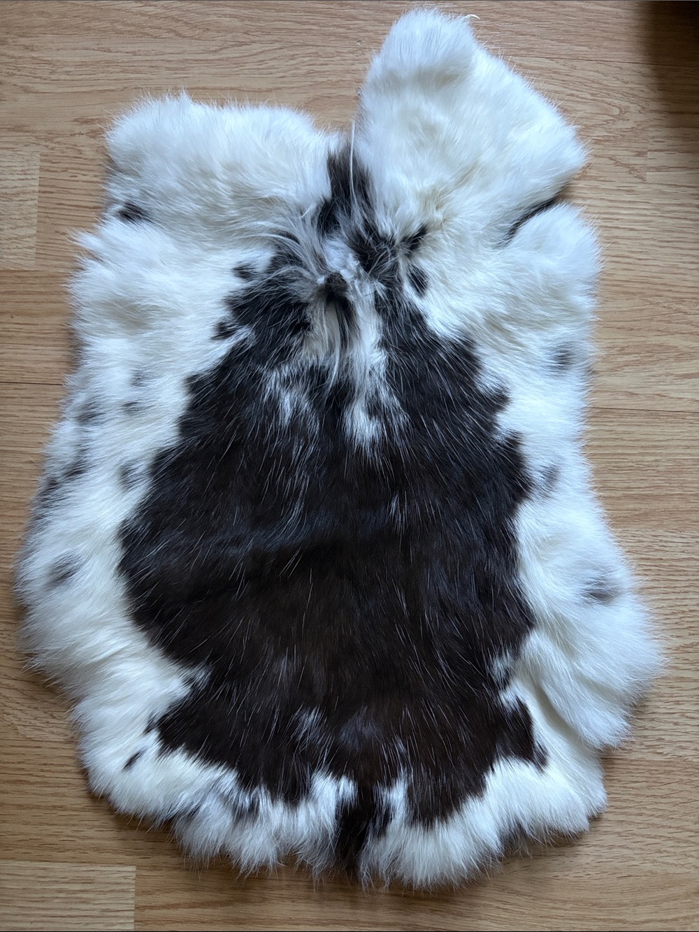 B0199 rabbit pelt -White and Dark Brown